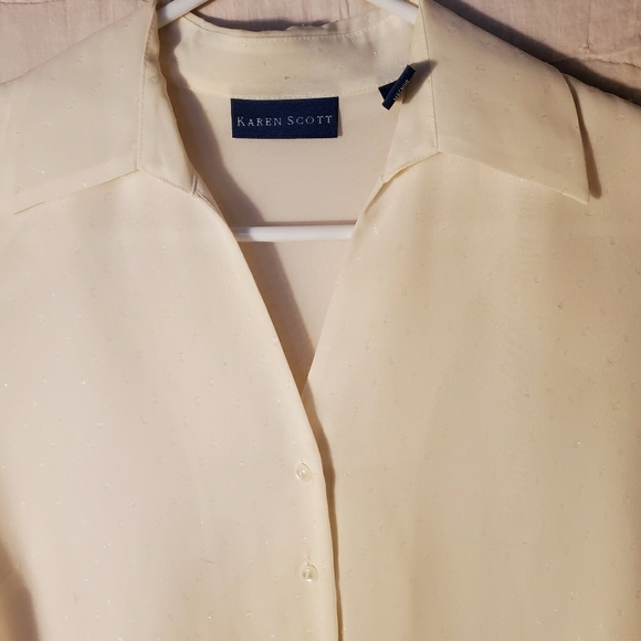 Karen Scott Tops - Karen Scott sheer blouse